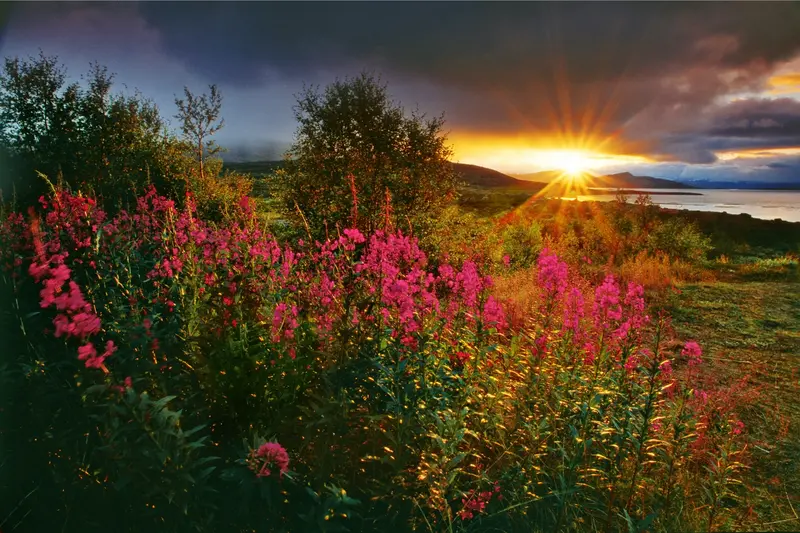 schwedische Landschaft mit Abendsonne